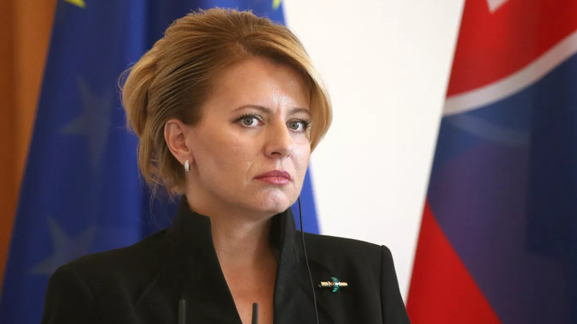 Markiza: президент Словакии Чапутова подтвердила задержание напавшего на Фицо